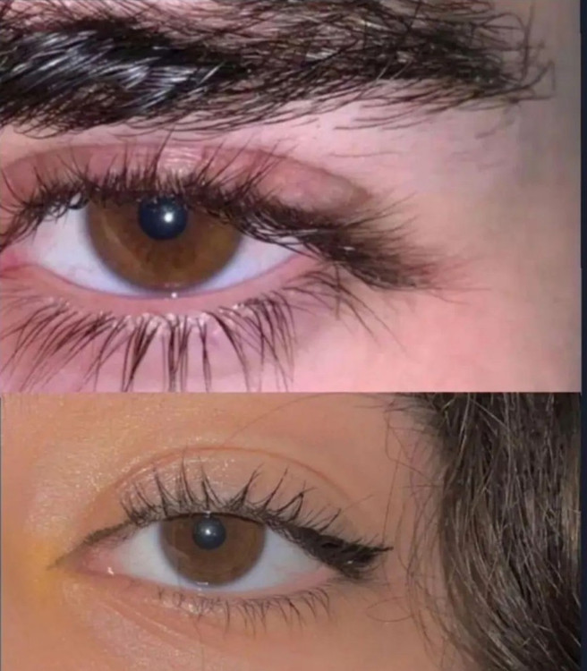 مشخصات قیمت وسفارش بهترین پرپشت کننده مژه وابرو