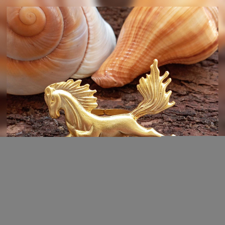 مشخصات وخرید انگشتر نعل اسب