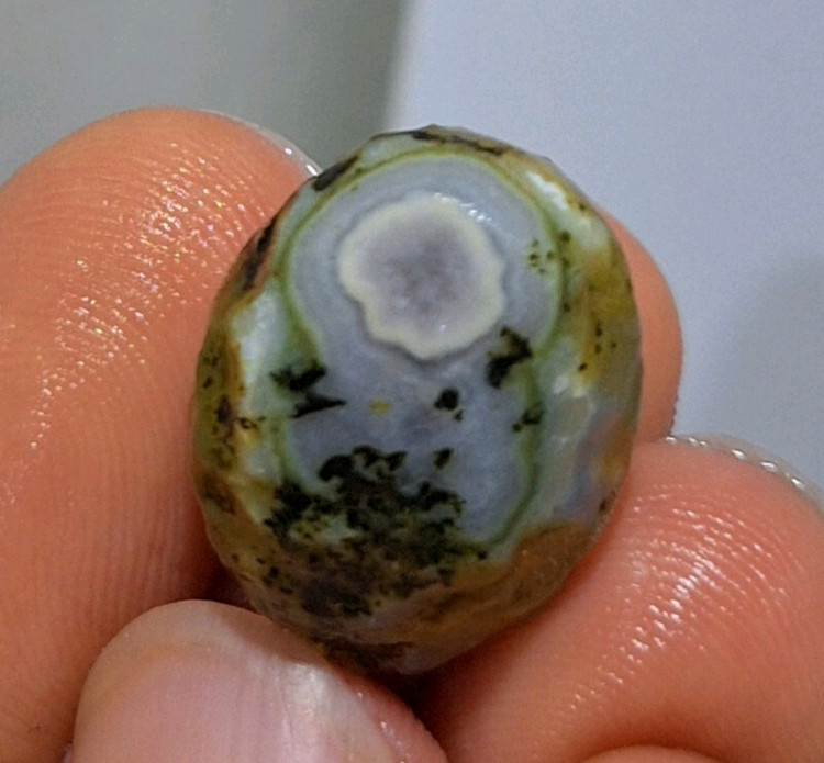 قیمت وخریدباباقوری اصل تراش نخورده