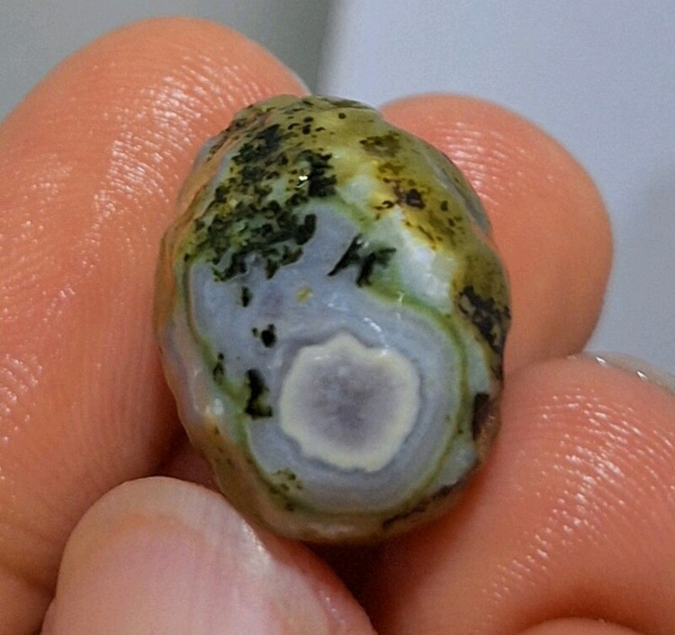 مشخصات قیمت وخریدباباقوری موکل دار