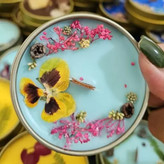 شمع وعود دافع حشرات